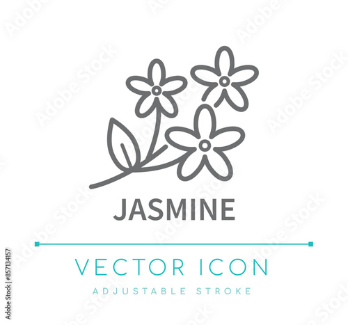 Jasmine Line Icon