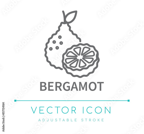 Bergamot Line Icon