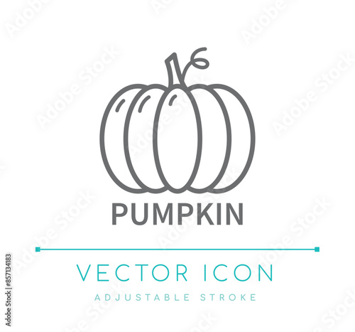 Pumpkin Line Icon