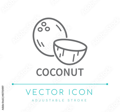 Coconut Line Icon