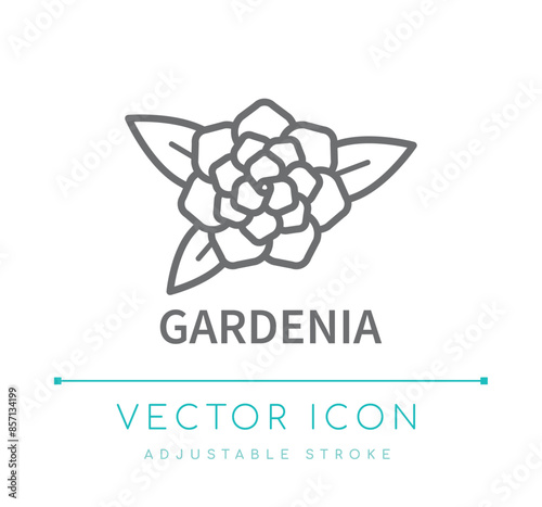 Gardenia Line Icon