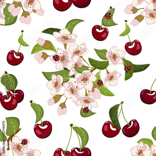 Blooming cherry and berries in a pattern.Colored vector pattern with flowers and cherries on a white background.