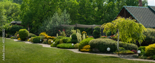 Summer green garden with coniferous trees, bushes and flower beds, garden lat...