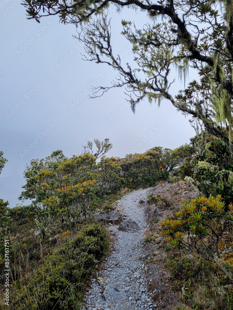 Obraz premium Ruta al Barú