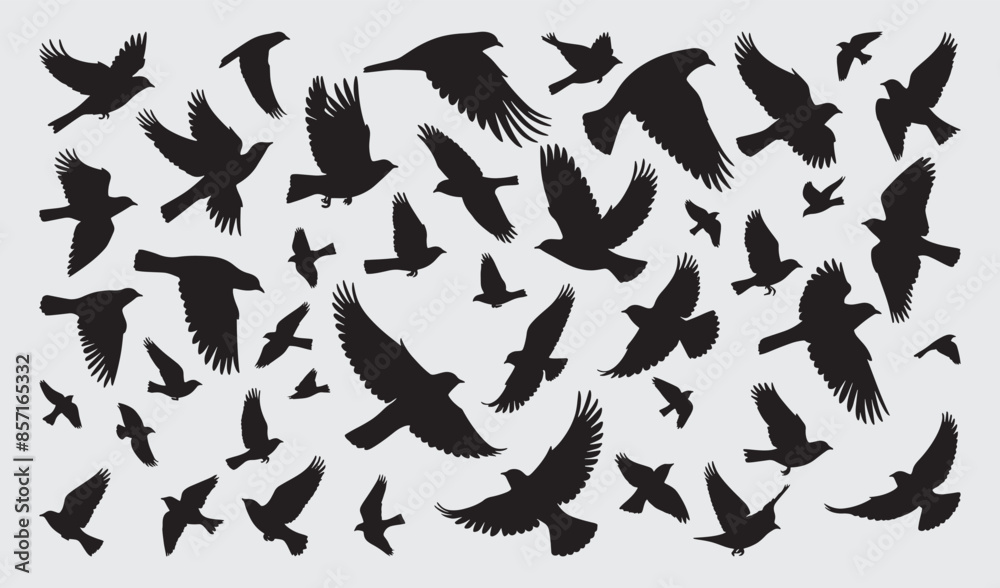 Birds Silhouette Vector Collection Hand drawn Birds Silhouette Vector Collection Hand drawn