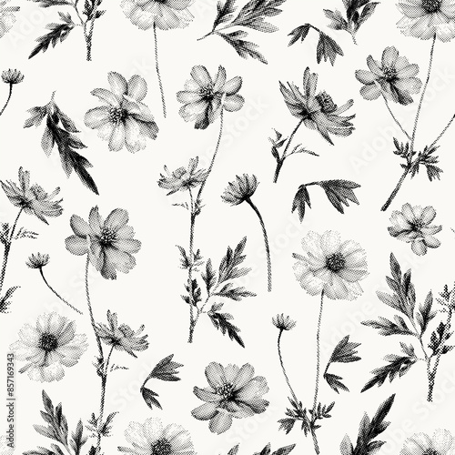 Seamless pattern with Cosmos flower. Meadow flower pointillism illustration. Dot art. Vector floral. Black on white