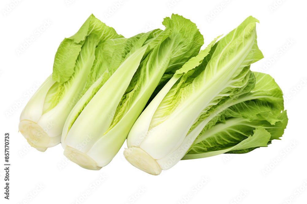 Fresh green napa cabbage isolated on white background. Perfect for salads, stir-fries, and other healthy recipes. Fresh green napa cabbage isolated on white background. Perfect for salads, stir-fries, and other healthy recipes.