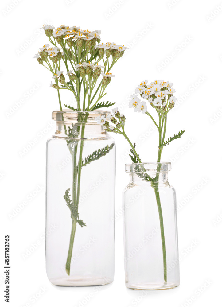 Obraz premium Yarrow flowers in glass bottles isolated on white