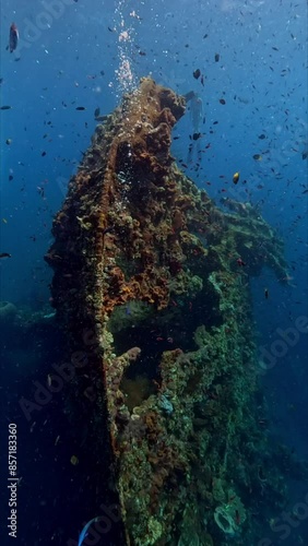 Sea life around the famous Liberty ship wreck. Underwater world of Tulamben, Bali, Indonesia. photo