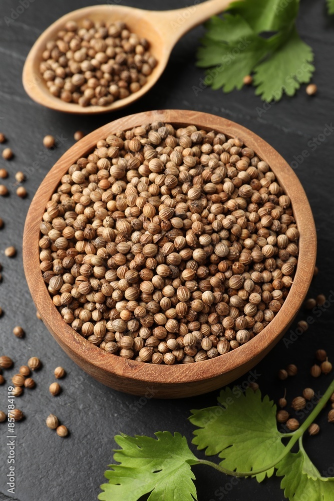 Dried coriander seeds in bowl, spoon and green leaves on dark gray textured table, above view Dried coriander seeds in bowl, spoon and green leaves on dark gray textured table, above view