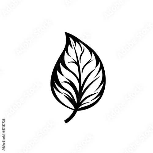 Basil Leaf