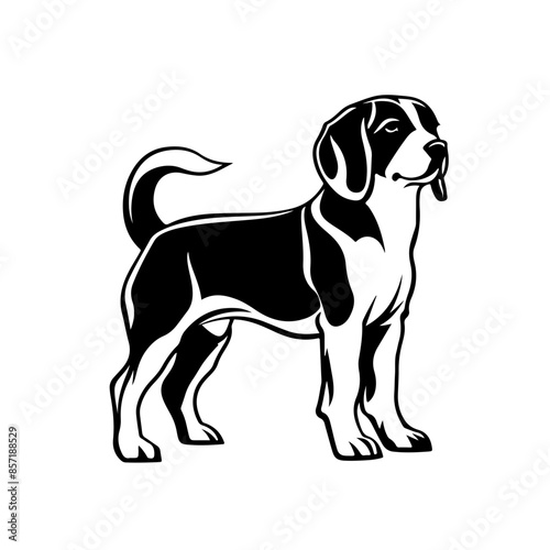 Beagle Dog