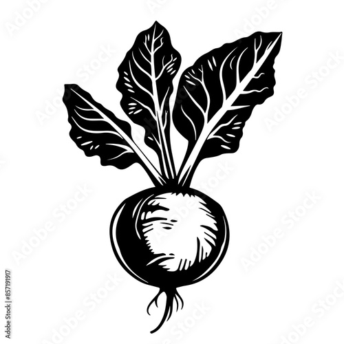 Beetroot