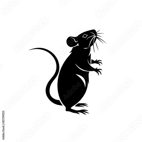 Standing Rat