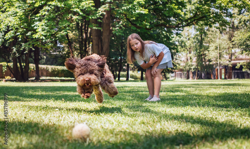 Joyful girl playing fetch with her energetic Maltipoo in lush park. Dog, captured mid-run with ears flapping, eagerly chases after tennis ball. Sunlight filters through trees during perfect day.