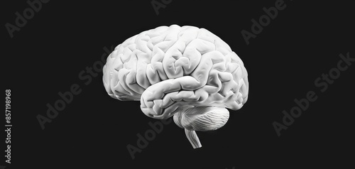 A white brain is shown on a black background