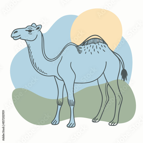 camel cartoon illustration