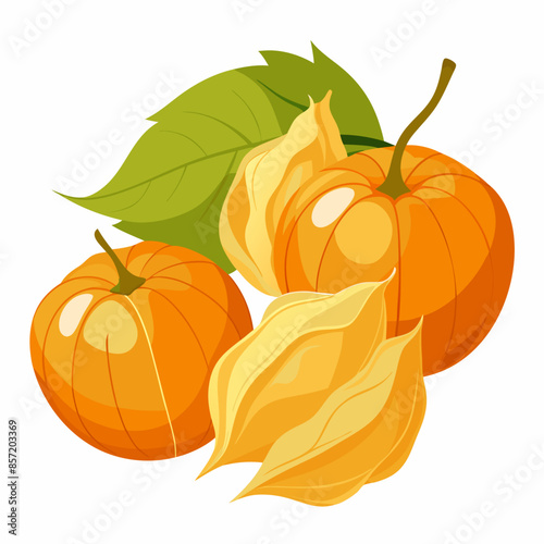 Fresh physalis with orange fruits and green leaves, showing both whole and split fruits.