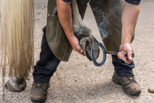 Close up of a farrier at work shoeing a horse