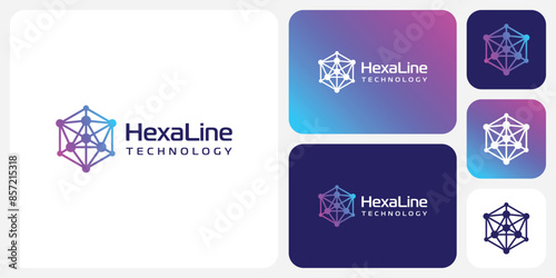 Geometric hexagon line vector logo design with dot connection in modern, simple, clean and abstract style.