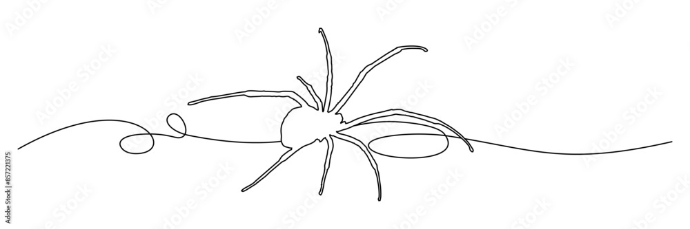 line art illustration background spider for a halloween day line art illustration background spider for a halloween day