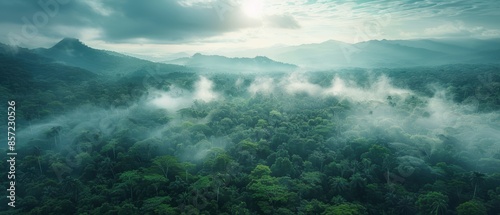 Aerial view of a tropical rainforest with mist, 8k UHD