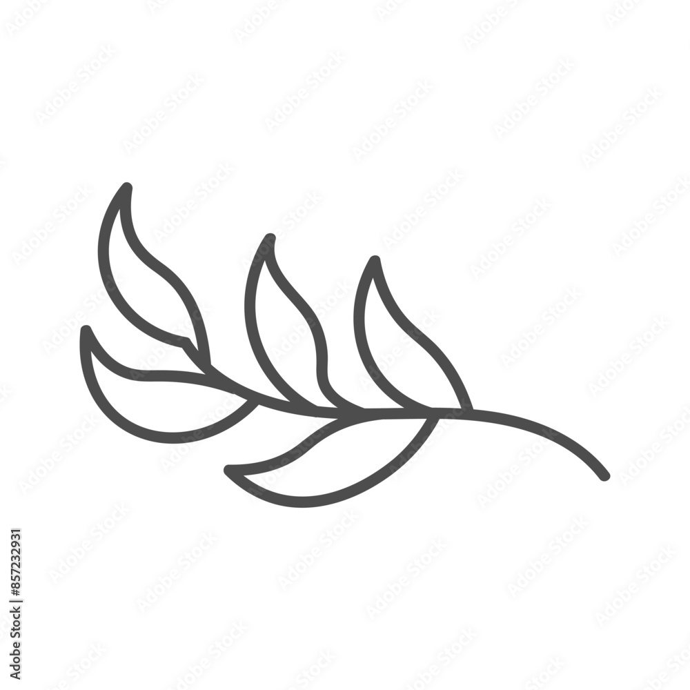 hand drawn illustration of flowers and leaves hand drawn illustration of flowers and leaves