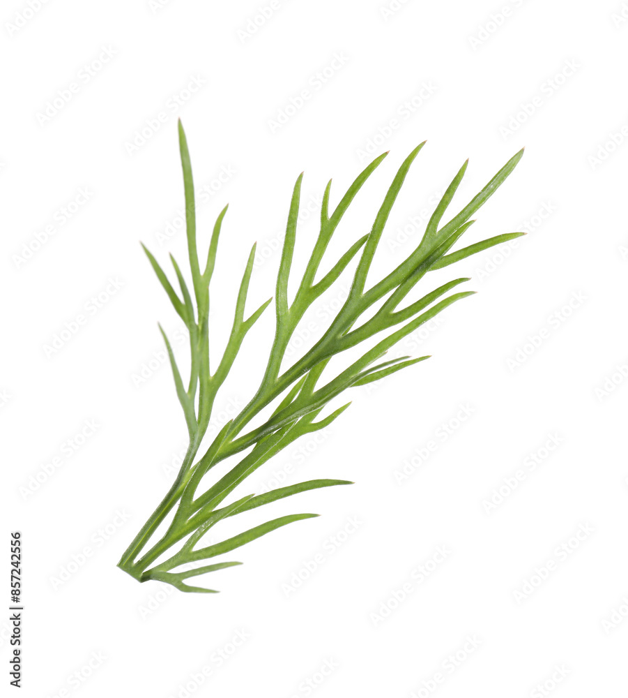 Sprig of fresh green dill isolated on white Sprig of fresh green dill isolated on white