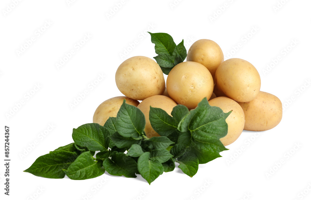 Fresh raw potatoes and green leaves isolated on white