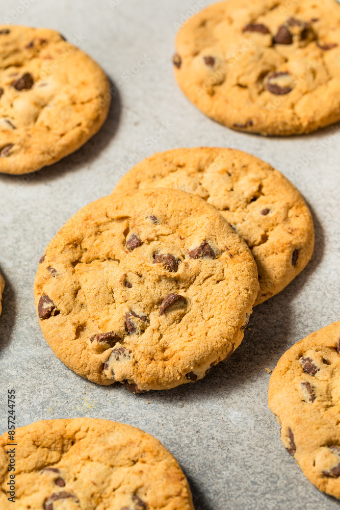 Warm Gooey Chocolate Chip Cookies