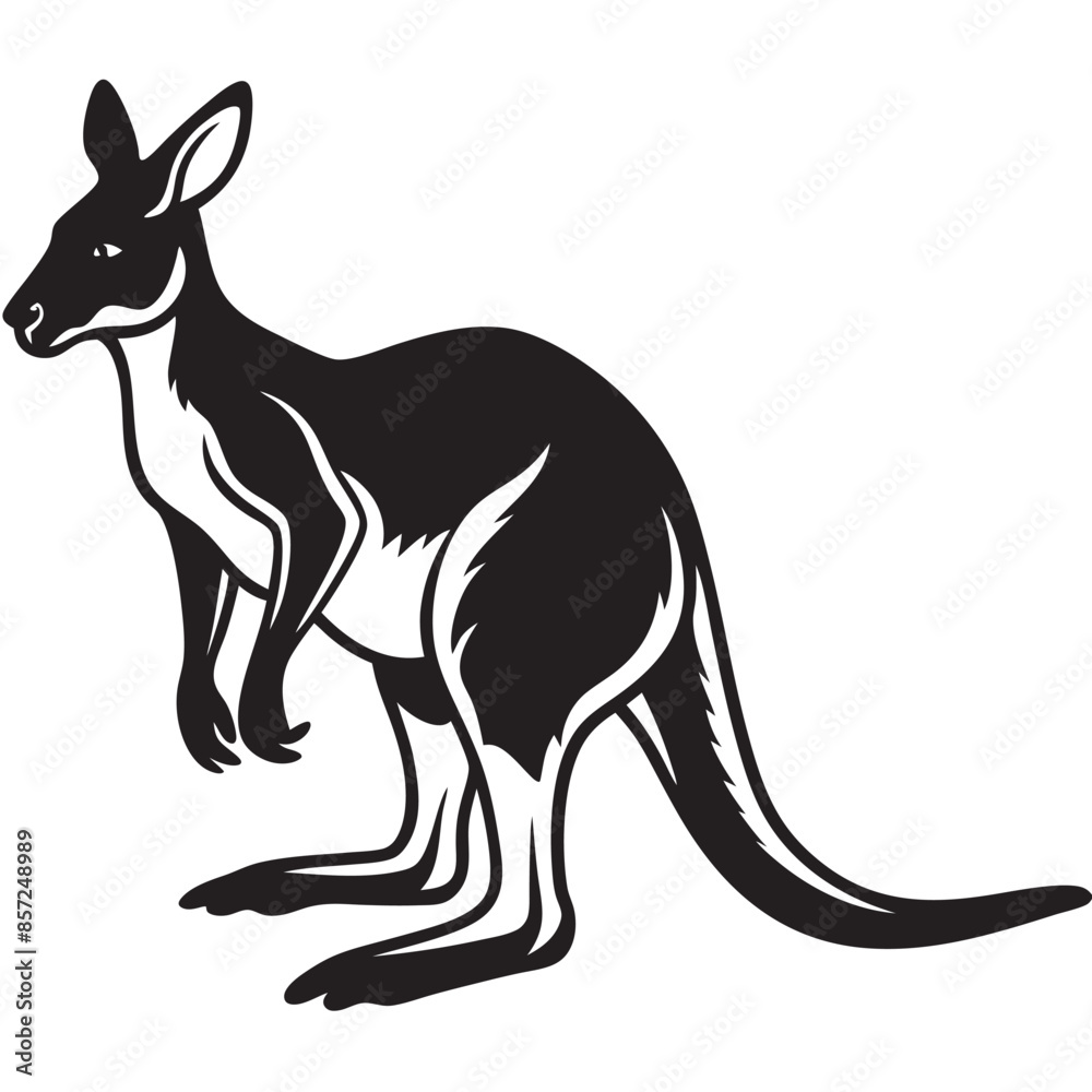 kangaroo illustration kangaroo illustration