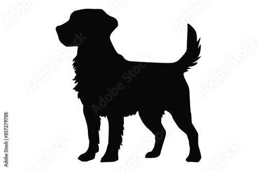 Dog vector images Graphics for Free Download