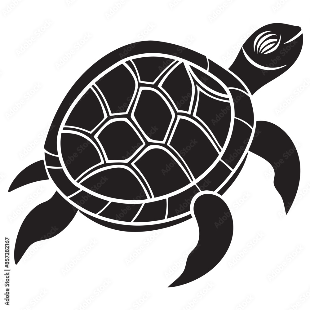 Fototapeta premium illustration of turtle
