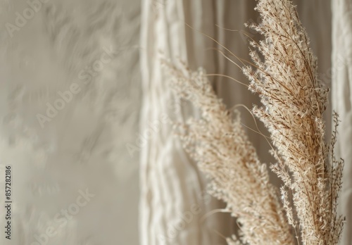 A close-up image of a pampas grass bouquet in front of a sheer white curtain