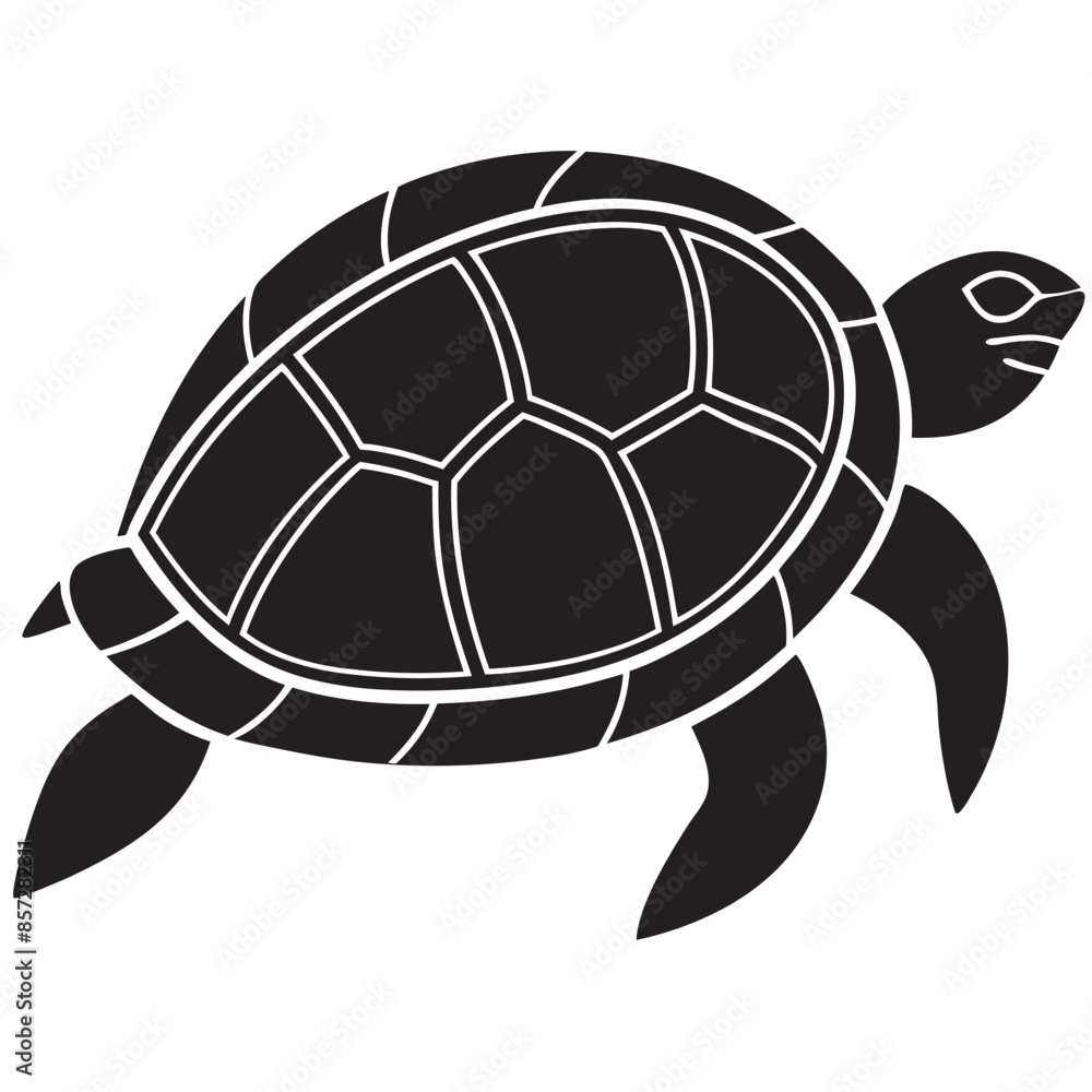 Obraz premium turtle illustration