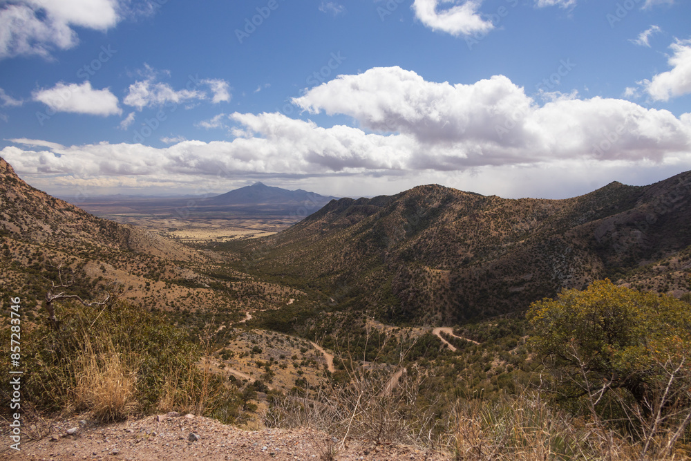 View from scenic drive in Coronado National Forest at Coronado National Memorial, Arizona View from scenic drive in Coronado National Forest at Coronado National Memorial, Arizona