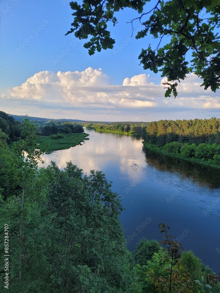 Naklejka premium lake and forest