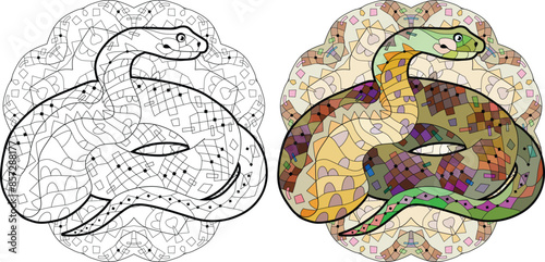 Zentangle snake for coloring on mandala . Hand drawn decorative vector illustration. Color and outline set