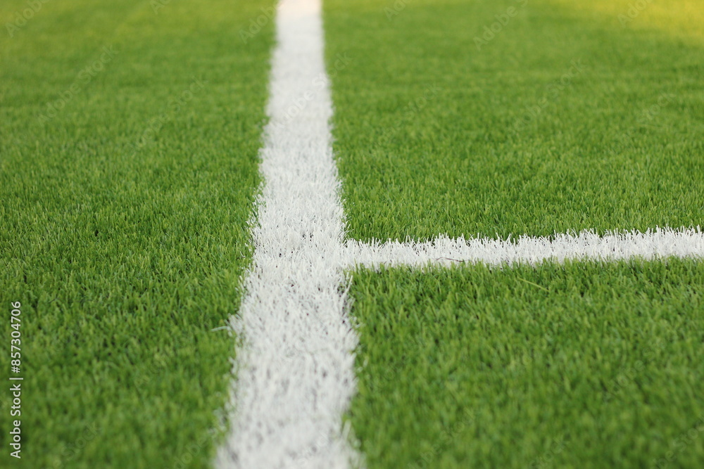 Obraz premium Soccer field