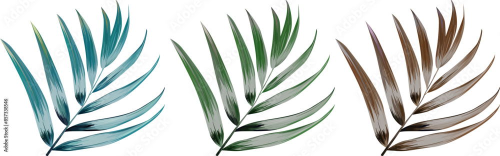 Vector tropical palm leaves. Bright realistic plants Vector tropical palm leaves. Bright realistic plants