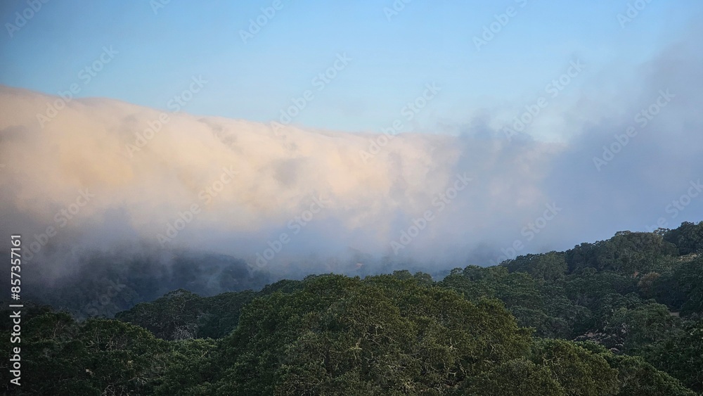 fog in the mountains fog in the mountains