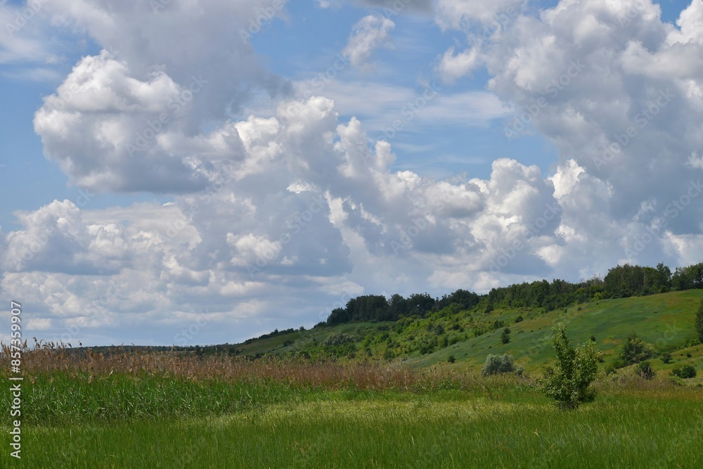 atmospheric summer countryside landscape with hill, green grass, trees, bushes, meadow, large white clouds on blue sky atmospheric summer countryside landscape with hill, green grass, trees, bushes, meadow, large white clouds on blue sky