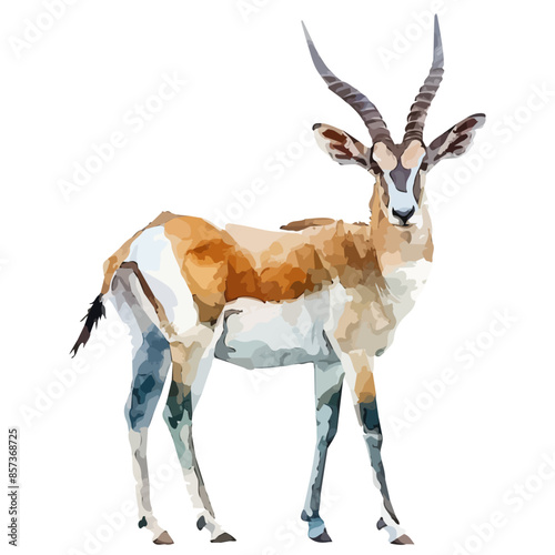 Watercolor clipart vector of a antelope, isolated on a white background, antelope vector, Illustration painting, Graphic logo, drawing design art