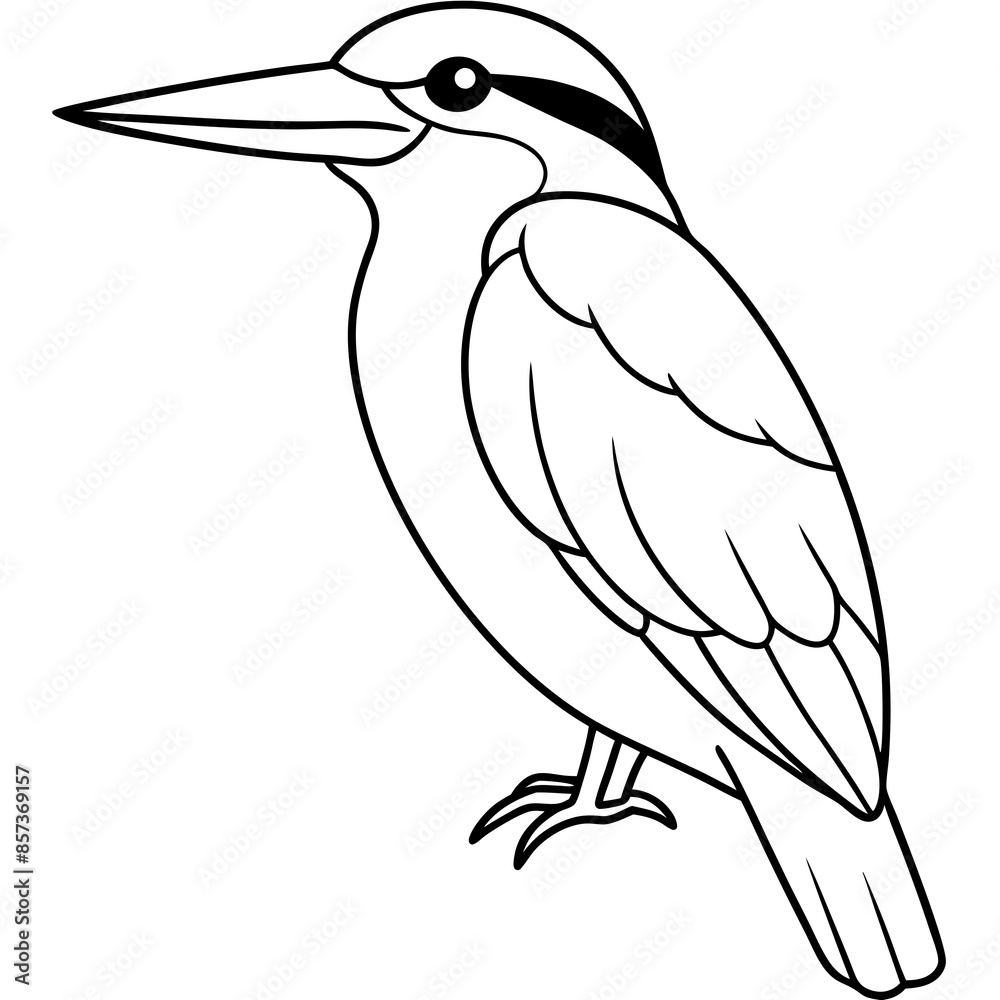 Fototapeta premium a cute Kingfisher line art vector illustration