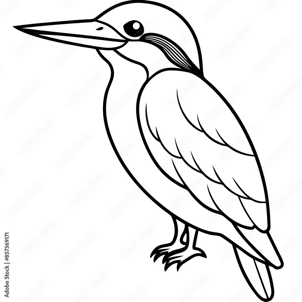 Fototapeta premium a cute Kingfisher line art vector illustration