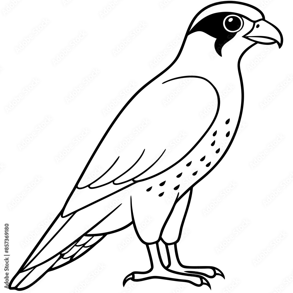 Fototapeta premium Peregrine Falcon line art vector illustration