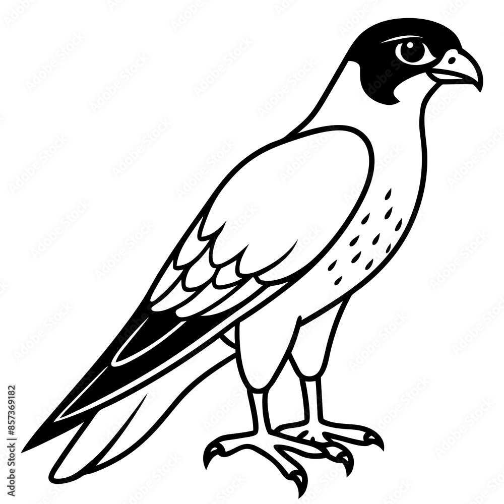 Peregrine Falcon line art vector illustration