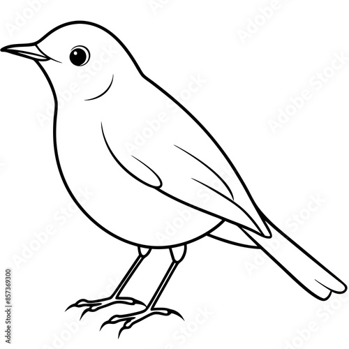 Robin line art vector illustration svg file