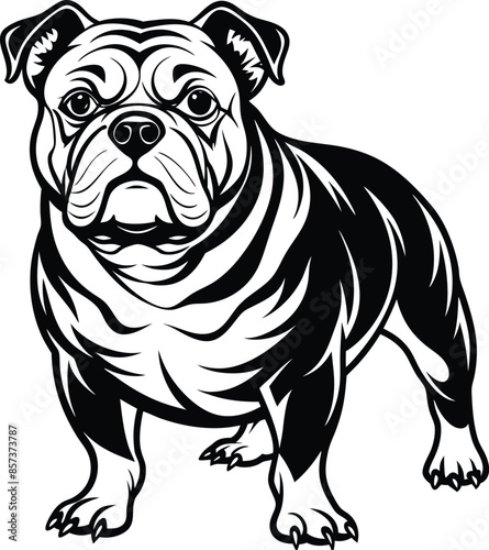 Bulldog black silhouette and vector, bulldog icon illustration.
