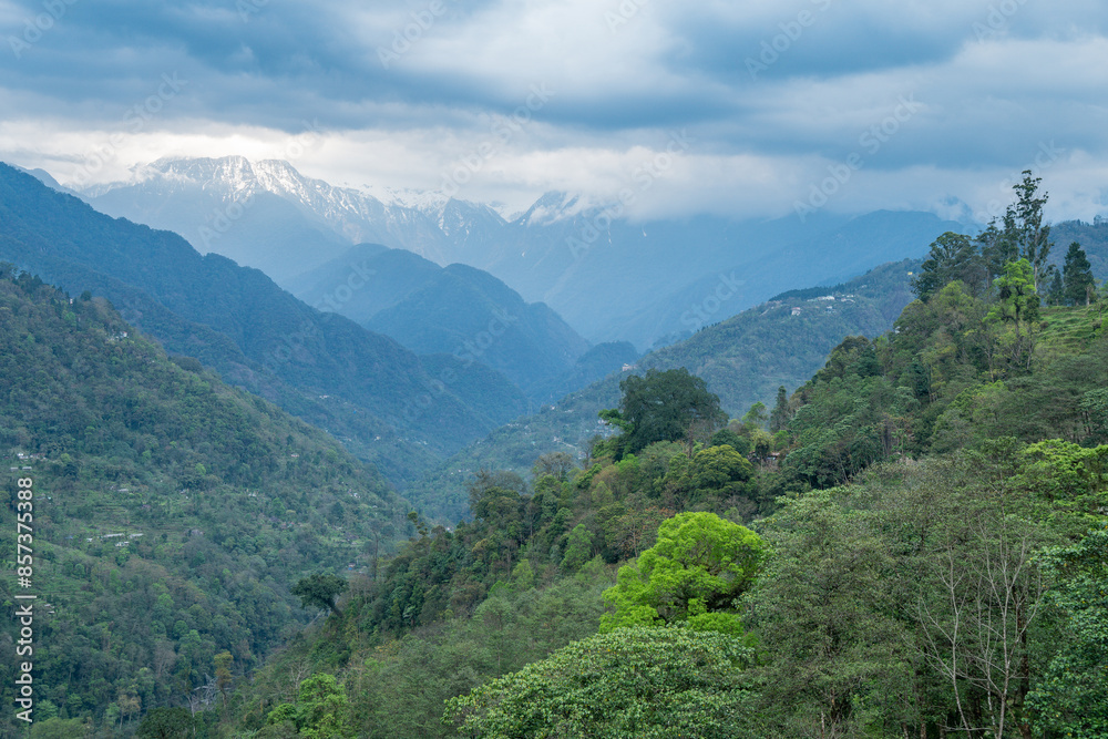 Mountain range with trees, mountains, clouds, and clear sky, Sikkim, India Mountain range with trees, mountains, clouds, and clear sky, Sikkim, India